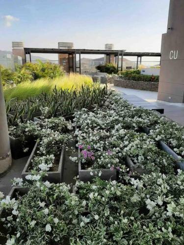 Apartamento Reserva Del Mar - Apto Con Vista Al Mar