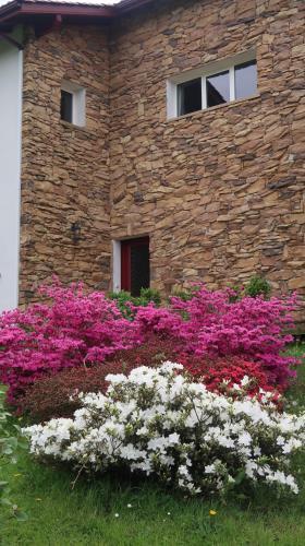 Bed & Breakfast Apitoki