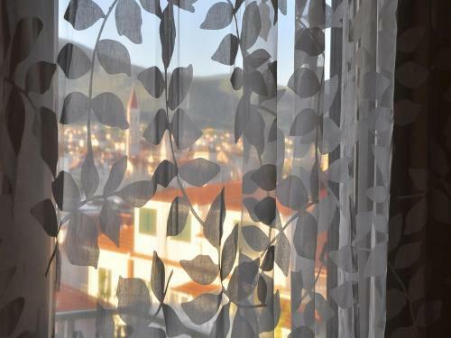 Hostal Guest House Bakica