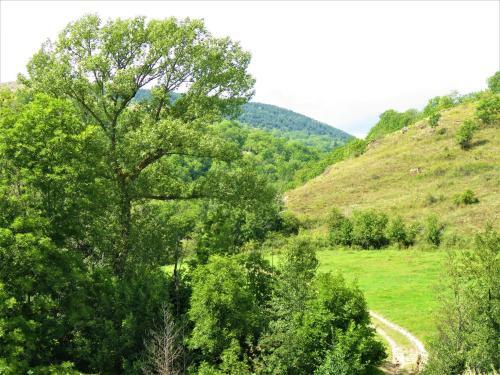Apartamento Vaqu� Villeneuve Des Escaldes Angoustrine