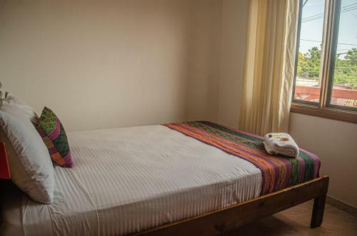 Casa Palomino Hostal