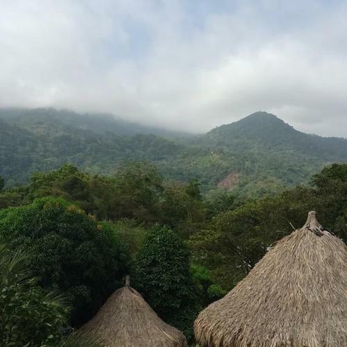 Hostal Ecocaba�as Diosa Jaguar Tayrona