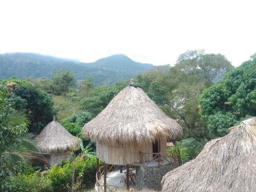 Hostal Ecocaba�as Diosa Jaguar Tayrona