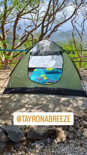 Tayrona Breeze