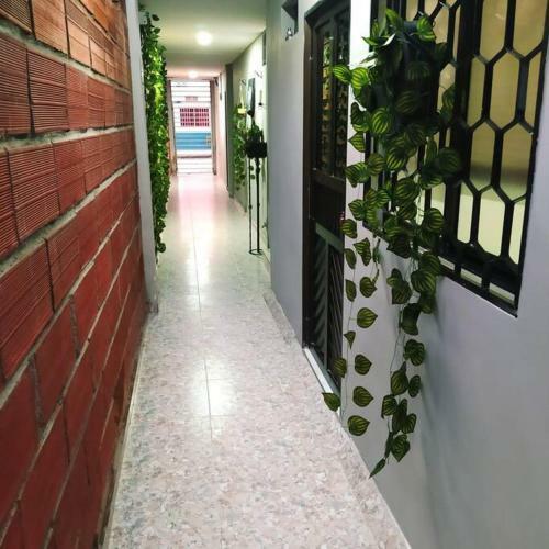 Apartamento Habitaci�n Independiente Cerca Al Centro