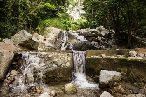 Tayrona Hostel Sm