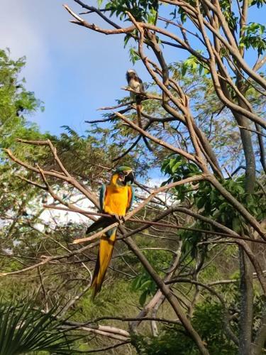 Tayrona Hostel Sm