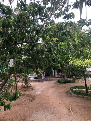 Hostal Tayrona Shalom Bait