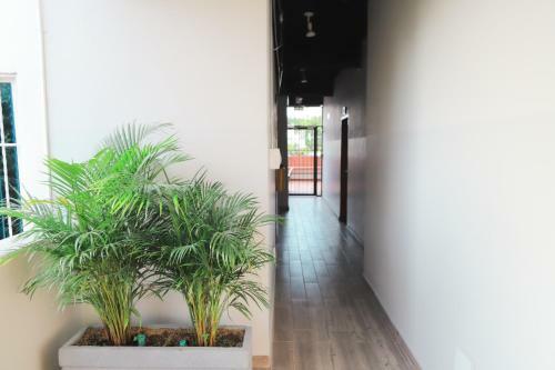 Casamar Hostel