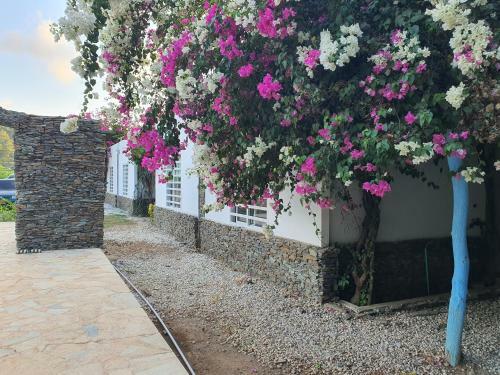 Hotel Tayrona Bahia Concha