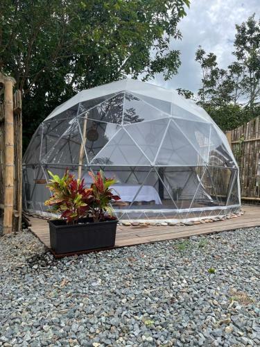 Drora Glamping