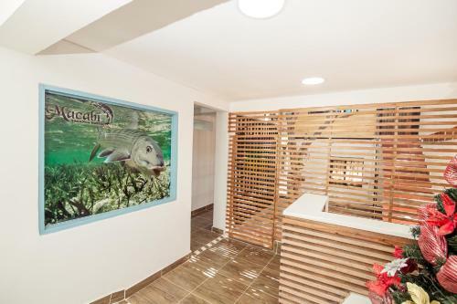 Hostal Taganga Macabi Hostel