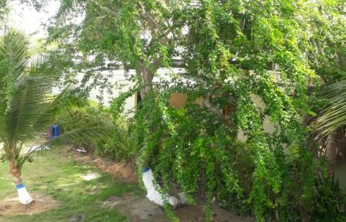 Caba�a Recuerdo Lodge, B & B