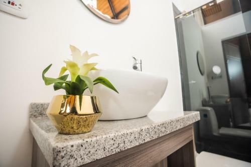 Hotel Valhalla Nimaima Glamping