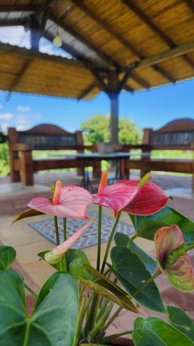 Agroturismo Finca Nuevo Monarca