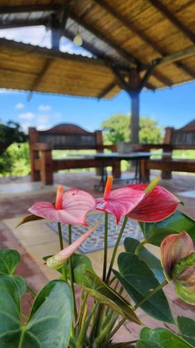 Agroturismo Finca Nuevo Monarca