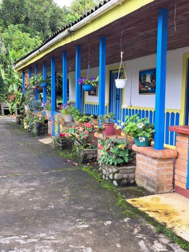 Eco Hotel Finca El Encanto