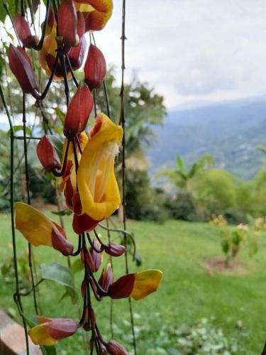 Caba�a Mirador Del Ot�n
