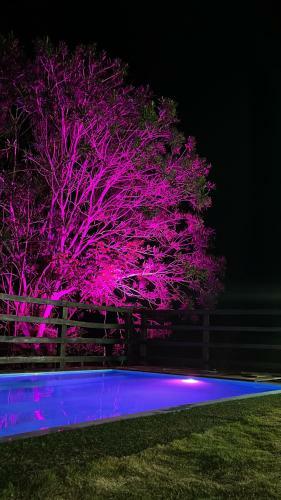 Lodge La C�ba�a Necocl�