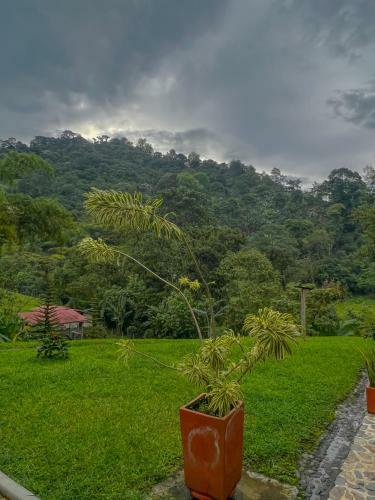 Casa En La Naturaleza