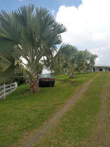 Rancho De Juancho
