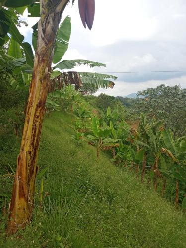 Rancho De Juancho