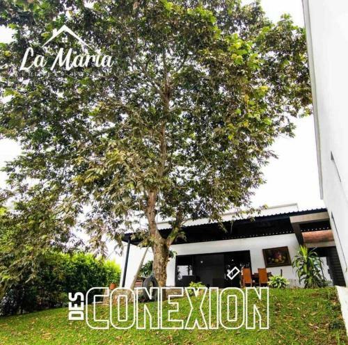 Apartamento �casa Con Piscina La Mar�a! D�as Inolvidables