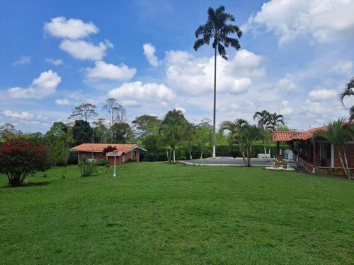 Pereira Morelia