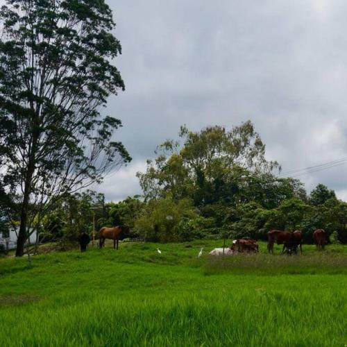 Hermosa Casa Campestre Altamira Eco Hotel