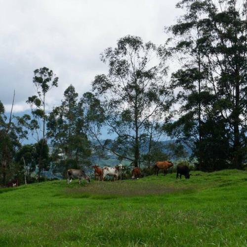 Hermosa Casa Campestre Altamira Eco Hotel