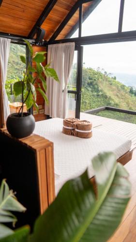 Selva Negra Cabins