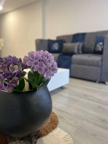 Apartamento Suite Palace Exclusive Lakeside Loft