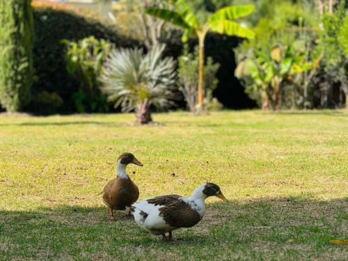 Casa De Lujo En Paipa Boyac� Vip