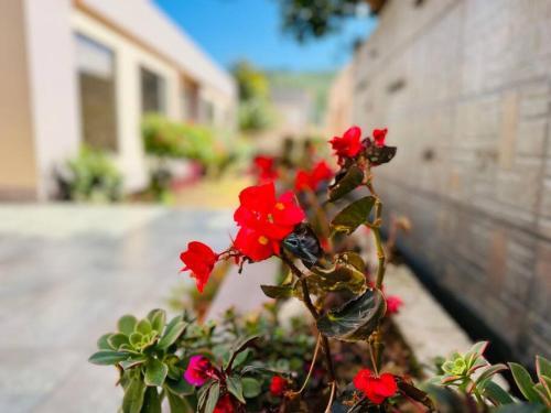 Casa De Lujo En Paipa Boyac� Vip
