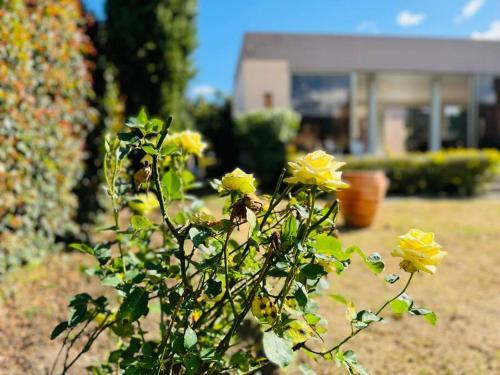 Casa De Lujo En Paipa Boyac� Vip