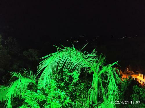 Apartamento Tipo Caba�a G