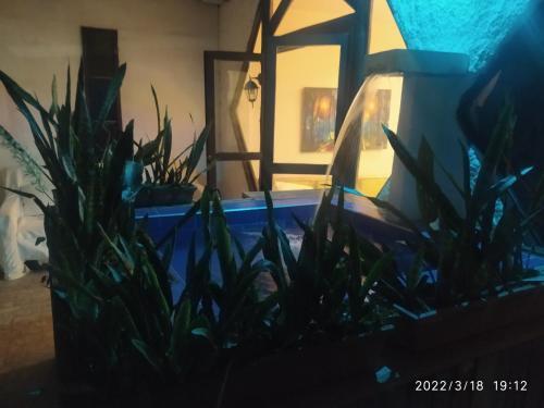 Apartamento Tipo Caba�a G