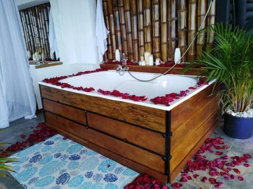 Glamping Casa Viva