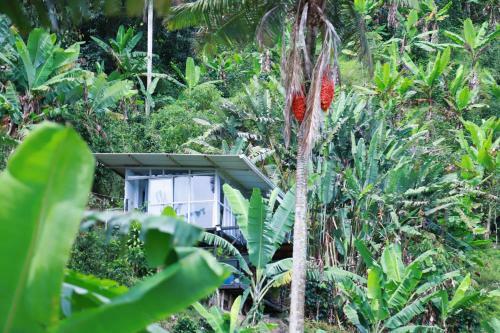 Glamping Casa Viva