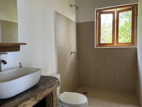 Bed & Breakfast Caba�as Minca Sintropia