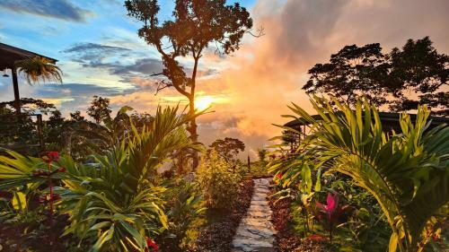 Bed & Breakfast Caba�as Minca Sintropia