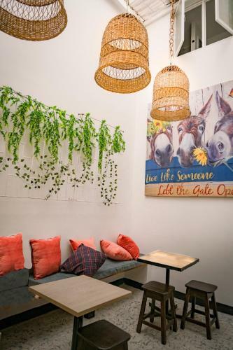 Posada Derequka Hostel