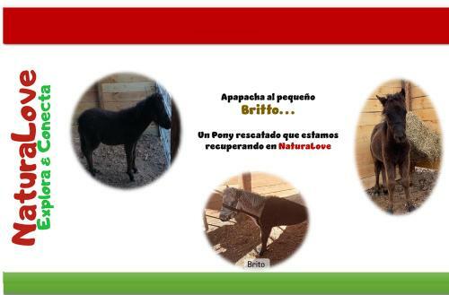 Naturalove Glamping Mongui