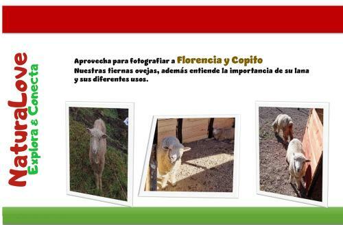 Naturalove Glamping Mongui