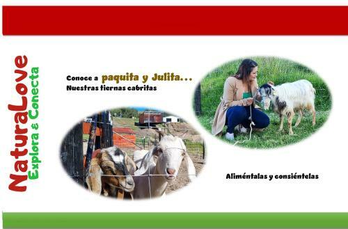 Naturalove Glamping Mongui