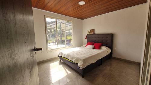 Naturalove Glamping Mongui