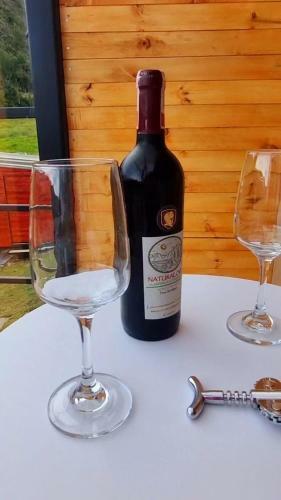 Naturalove Glamping Mongui