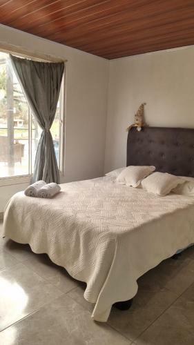 Naturalove Glamping Mongui