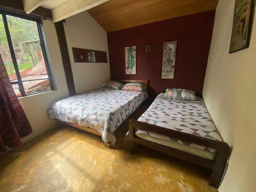 Hostal Arte Sin Fronteras Hostel