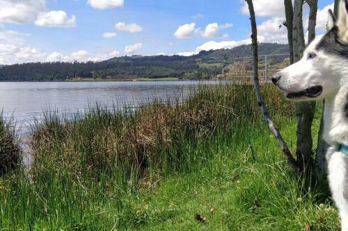 Amplio Apartamento Lujoso Al Lado Del Lago